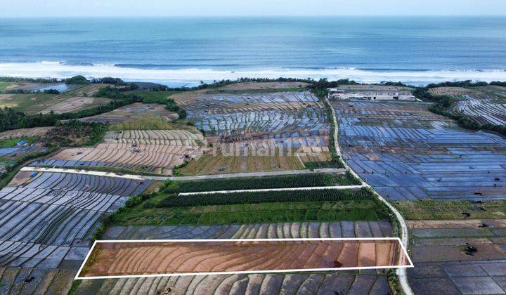 Tanah:2500 M2(25 Are ) Super Langka Siap Bangun Dekat Pantai Kelating Tabanan Bali  1