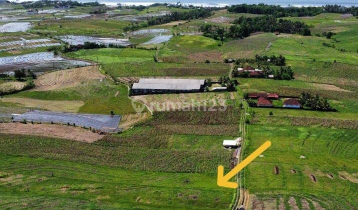 Tanah :800 M2 (8 Are ) Dekat Pantai View Laut & Hamparan Sawah Siap Bangun Di Pantai Kelecung Tabanan Bali  2