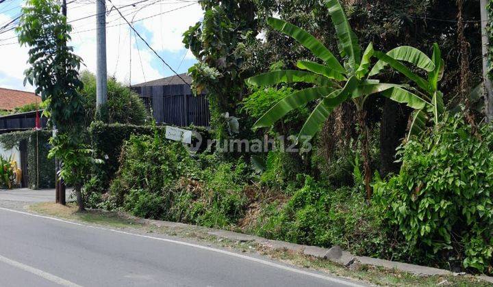 Tanah:800 M2(8 Are) Super Langka Siap Bangun Di Jln Utama Padang Lenjong Echo Beach Canggu Bali  1