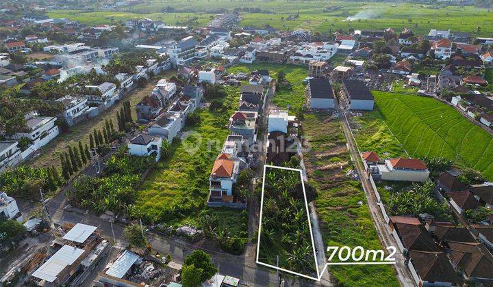 Tanah:700 M2(7 Are ) Super Langka Siap Bangun Di Jln Utama Kayu Tulang Canggu Bali  1