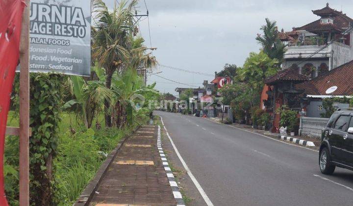 Tanah:600 M2(6 Are ) Super Langka Siap Bangun Dekat Pantai Tanah Lot Tabanan Bali 2