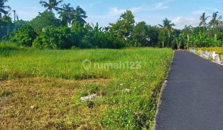 Land::296 M2(2.96 are) super rare ready to build Near kedunggu beach Belalang Village Tabanan Bali  2