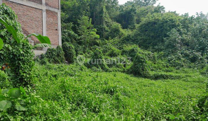 Tanah :371 M2(3,71 Are ) View Sawah & Tegalan Super Langka Siap Bangun Di Babakan Canggu Bali  1