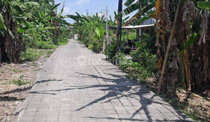 Tanah:300 M2(3 Are ) Super Langka Siap Bangun Di Munggu Bali  2