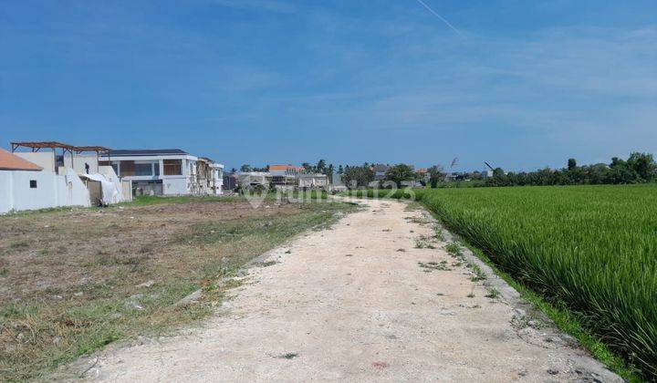 Tanah:1700  M2( 17  Are) Super Langka Siap Bangun Di Pantai Seseh Munggu Badung Bali  1