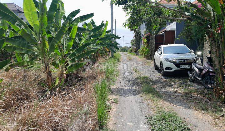 Tanah:400 M2(4 Are ) Super Langka Siap Bangun Dekat Pantai Batu Bolong Kayu Tulang Selatan Canggu Badung Bali   2