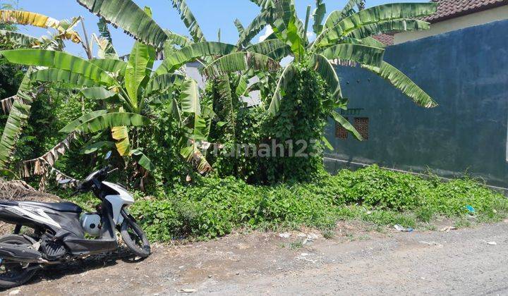 Land: 800 M2 (8 Are) Super Rare Ready to Build Near Seseh Munggu Beach Bali 1