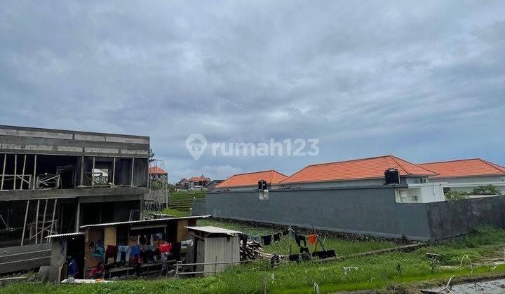 Tanah :1800 M2(18 Are) Super Langka Siap Bangun Di Jln Padonan Tibubeneng Canggu Bali  1