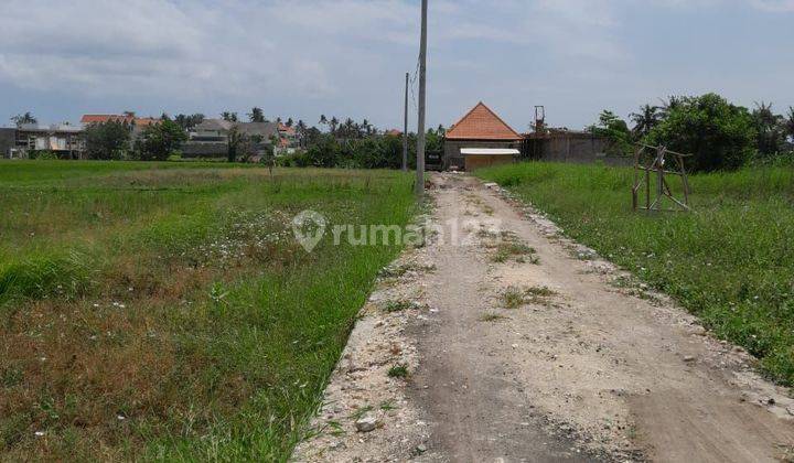 Villa Los Sungai Land Plot Full View Rice Fields Ready to Build Near Seseh Munggu Beach Badung Bali 1