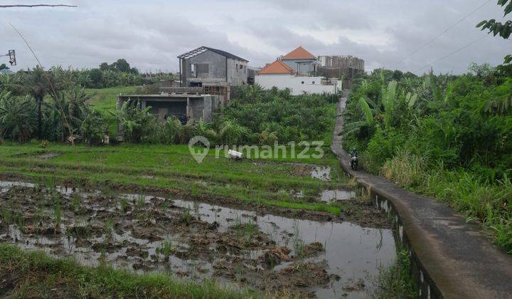 Tanah:400 M2(4 Are) Super Langka Siap Bangun Di Jln Tumbak Bayuh Pererenan Bali  2