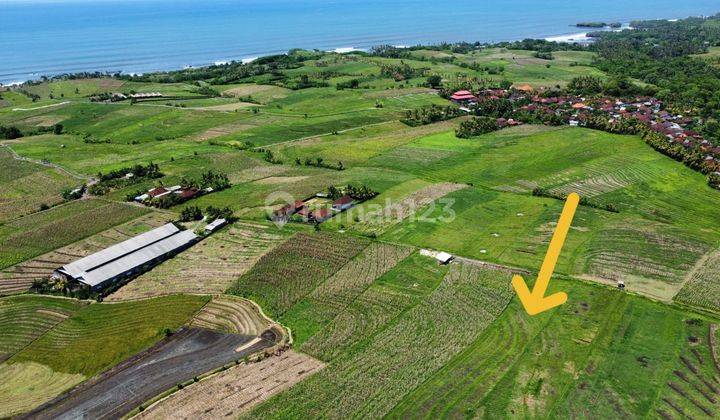 Tanah :800 M2 (8 Are ) Dekat Pantai View Laut & Hamparan Sawah Siap Bangun Di Pantai Kelecung Tabanan Bali  1