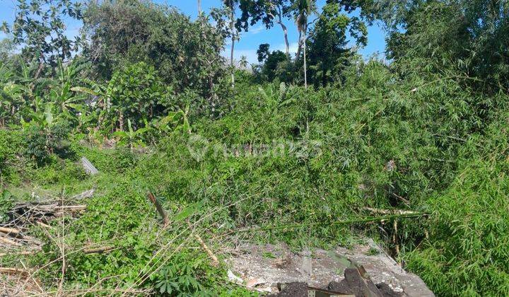 Tanah:220 M2(2,2 Are ) Super Langka Siap Bangun Di Kayu Tulang Utara Canggu Badung Bali  1