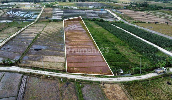 Tanah:2500 M2(25 Are ) Super Langka Siap Bangun Dekat Pantai Kelating Tabanan Bali  2