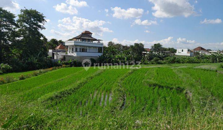 Tanah Sewa:450 M2(4,5 Are) Super Langka Siap Bangun Di Tumbak Bayuh Pererenan Bali  2