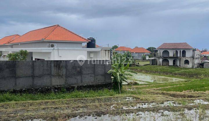 Tanah :1800 M2(18 Are) Super Langka Siap Bangun Di Jln Padonan Tibubeneng Canggu Bali  2