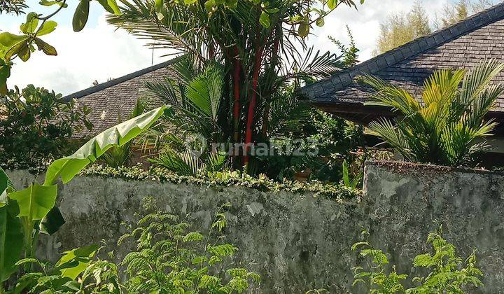 Land: 860 M2 (8.6 are) super rare ready to build on Berawa beach Canggu Bali  2