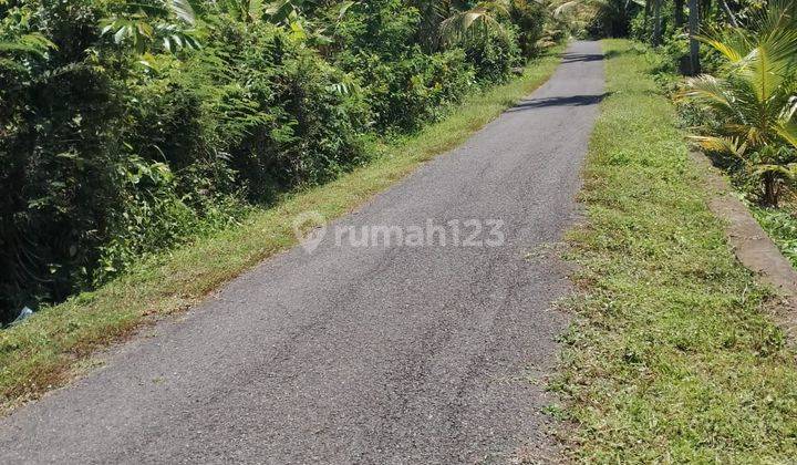 Tanah Kebun View Laut Super Langka Siap Metik Hasil Atau Investasi Di Rambut Siwi Jembrana ( Negara Bali) 2