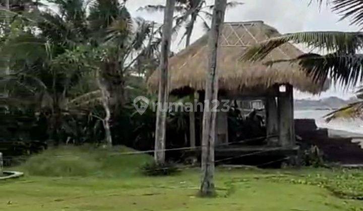 Tanah :4500 M2(45 are ) los pantai super langka siap Bangun Di pantai mengening Cemagi Bali  2