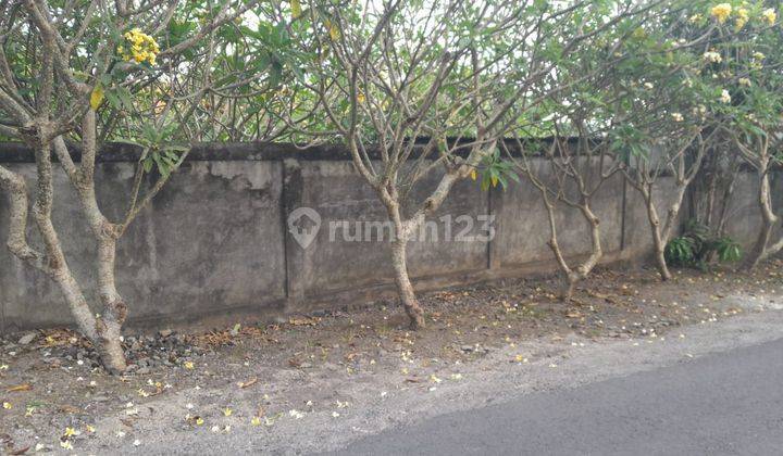 Land: 1000 M2 (10 Are) Super Rare Ready to Build on Jln Utama Veteran Tiying Tutul / Pererenan Bali 2