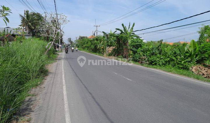 Tanah:500 M2(5 Are) Super Langka Siap Bangun Di Jln Utama Munggu Kapal Badung Bali  2