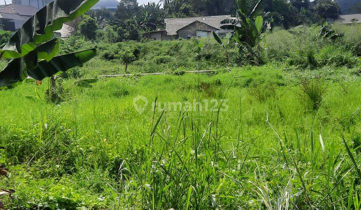 Cocok Untuk Perumahan Cluster