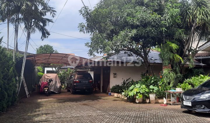 Old cheap house, land counted 2