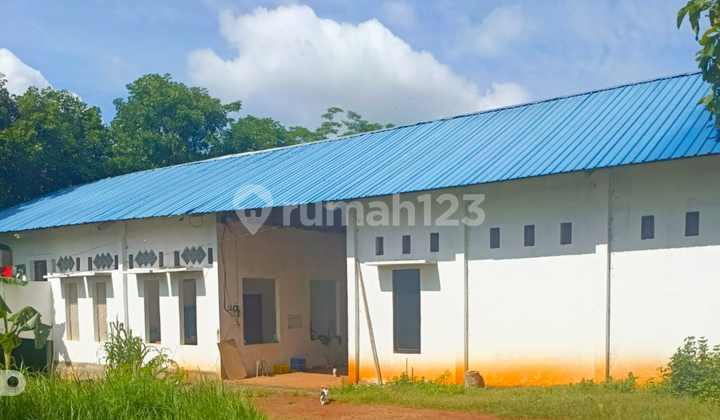 Gedung Peternakan Beroperasi Bagus Profit Memuaskan