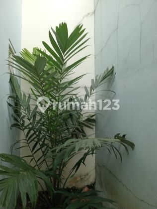 For Sale Subsidized House Grand Harmoni 5 Tenjo Bogor West Java   Unfurnished 2