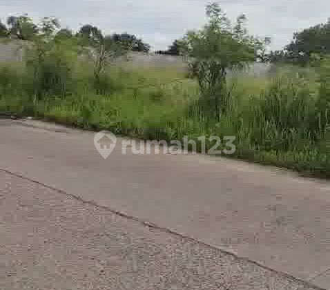 Quick Sale Land Location Tigaraksa