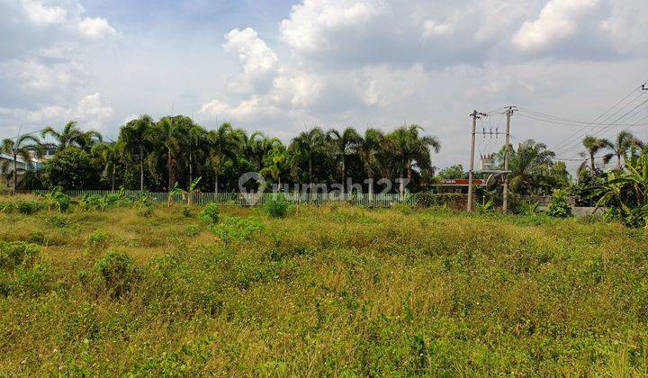 Tanah Industri Sudah Pagar  Keliling, Bebas Banjir  Dekat Pelabuhan Kendal,bisa Dibangun Komplek Industri/Gudang 1