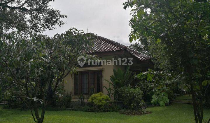 Dijual Cepat Rumah Cantik Halaman Luas Baranangsiang, Bogor 1