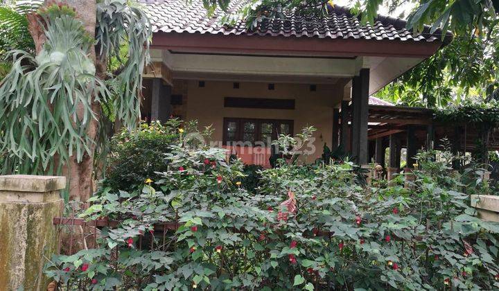 Dijual Cepat Rumah Cantik Halaman Luas Baranangsiang, Bogor 2