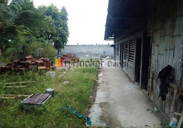 Kavling Plus Rumah Walet di Getasrejo Grobogan 3
