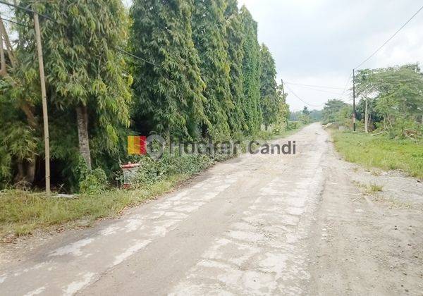 Kavling Plus Rumah Walet di Getasrejo Grobogan 5