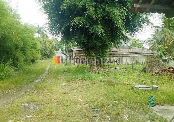 Kavling Plus Rumah Walet di Getasrejo Grobogan 9