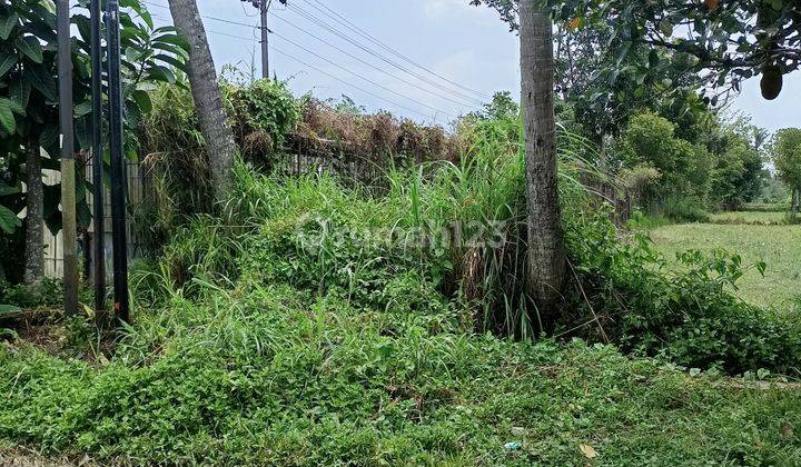 Tanah Luas Area Medari Sleman  1