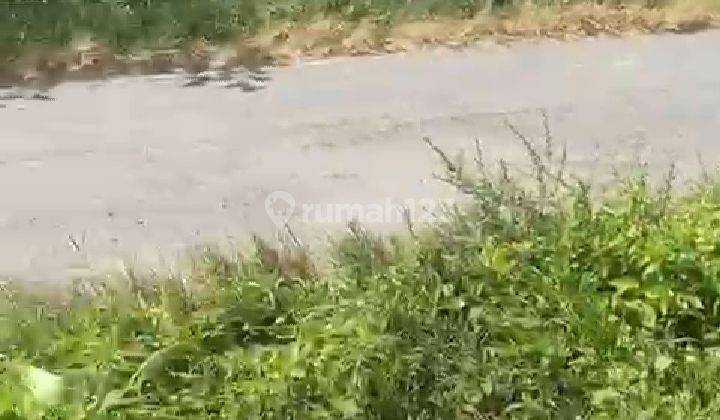Tanah Pekarangan Sidomoyo Godean Sleman Tanah 5