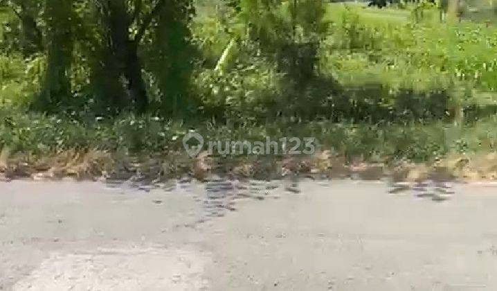 Tanah Pekarangan Sidomoyo Godean Sleman Tanah 6