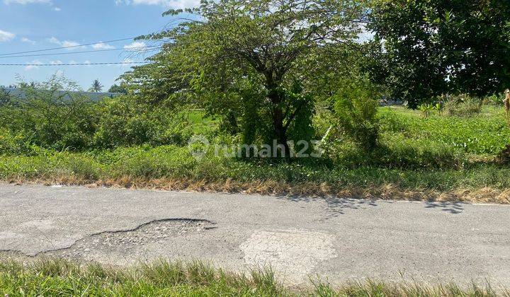 Tanah Pekarangan Sidomoyo Godean Sleman Tanah 7