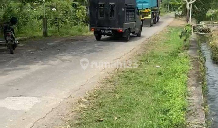 Tanah Pekarangan Sidomoyo Godean Sleman Tanah 9