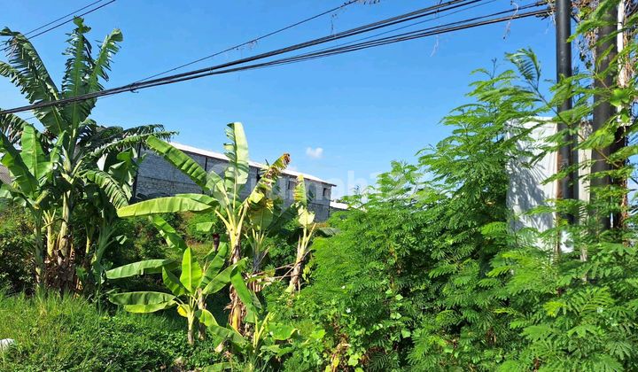 Wide Land on Jl Parangtritis Sewon