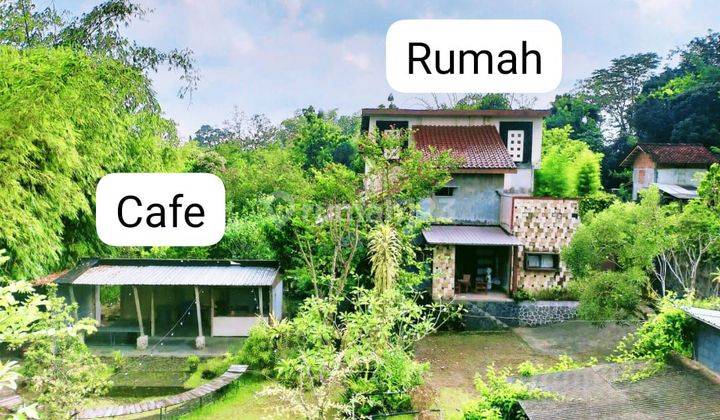 Rumahh Cocok Untuk Cafe Di Jl Kaliurang Ngaglik Sleman Yogyakarta 2