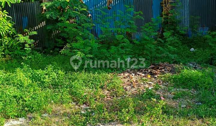 Tanah Nogotirto Cocok Untuk Hunian Nyaman Tanah Nogotirto Cocok Untuk Hunian Nyaman