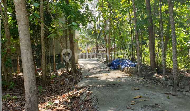 Warehouse and Wood Oven Bangunjiwo Kasihan Bantul
