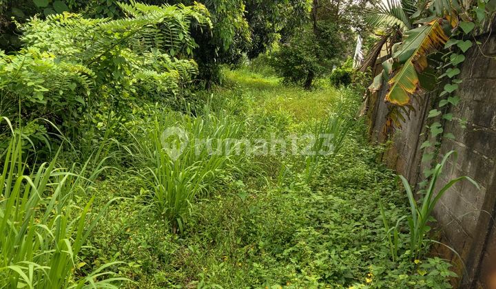 Cheap Land Trirenggo Bantul Yogyakarta Cheap Land Trirenggo Bantul Yogyakarta