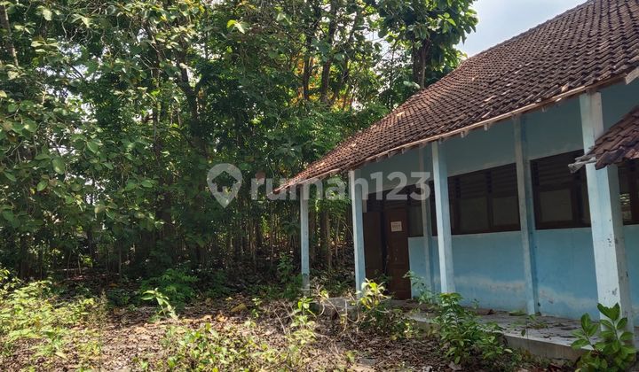 Tanah Murah Luas Playen Gunung Kidul Tanah Murah Luas Playen Gunung Kidul