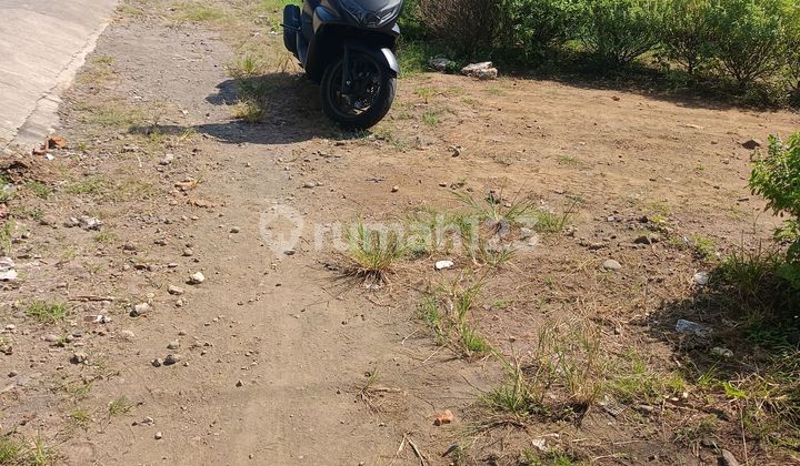 Land in Ngantong, Palabapang Main Road, Srandakan, Nyia Airport Main Route Land in Ngantong, Palabapang Main Road, Srandakan, Nyia Airport Main Route