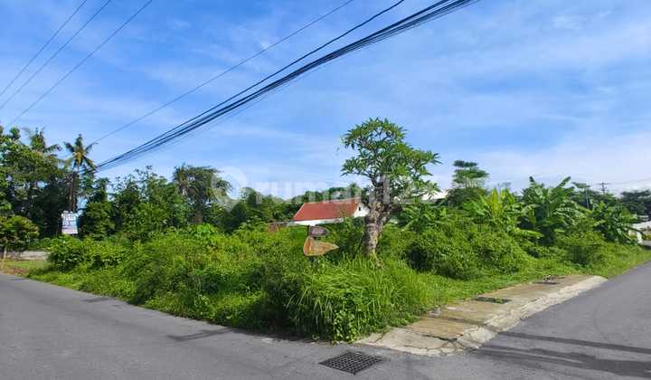 Nice Residential Land, Located in Palagan Near Hyatt Hotel, Suitable for Residence or Homestay