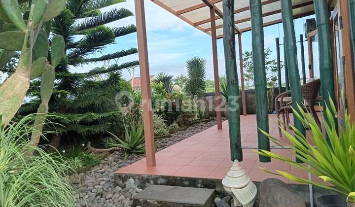 Rumah fully furnished model modern tropical di Ganjuran cocok untuk homestay atau hunian pribadi 5