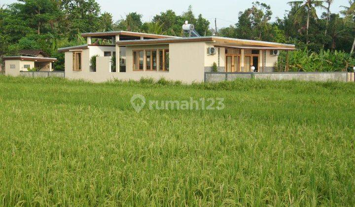 Rumah fully furnished model modern tropical di Ganjuran cocok untuk homestay atau hunian pribadi 9